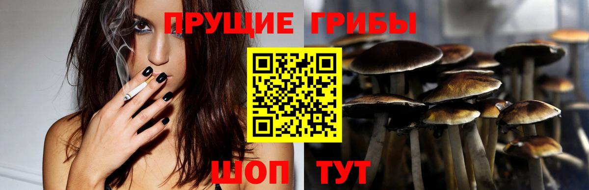 Котельники  Псилоцибиновые грибы мицелий  Вход с VPN 